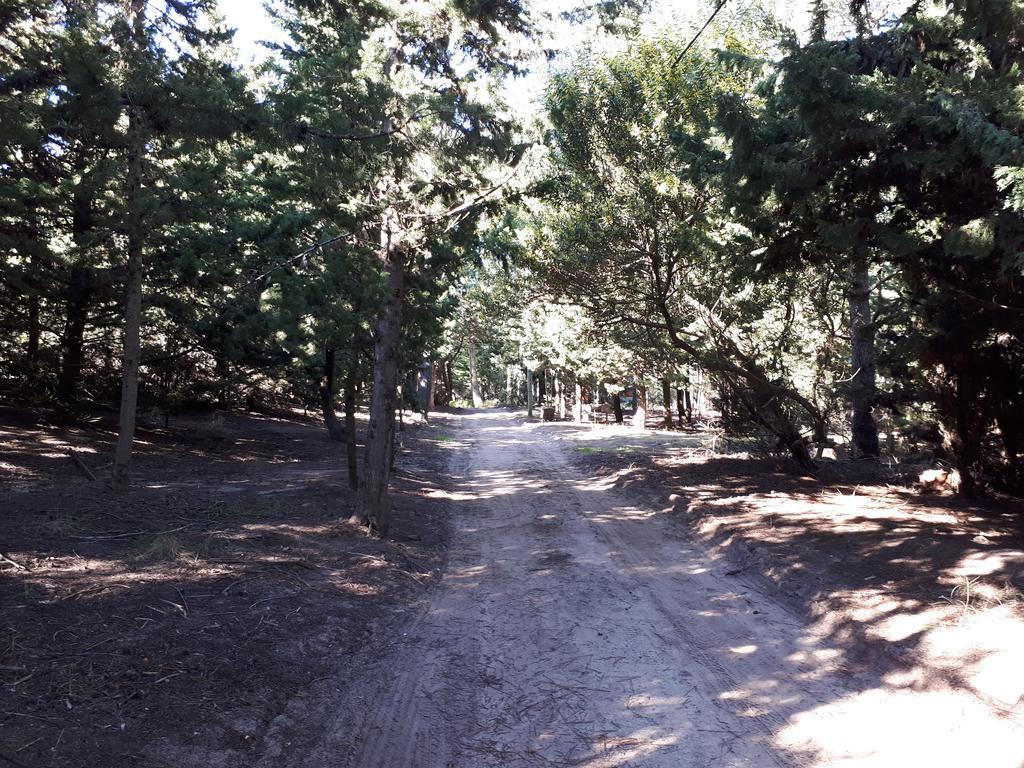 La Gringa, Un Espacio Unico En El Medio Del Bosque Mar de Las Pampas Exterior foto